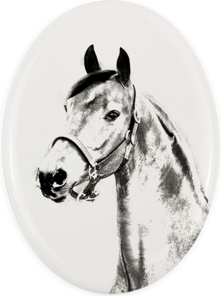 Morgan Pferd - Gedenktafel mit einem Pferdefoto, Grabplatte mit Druck, personalisierte ovale Platte von Art-Dog.