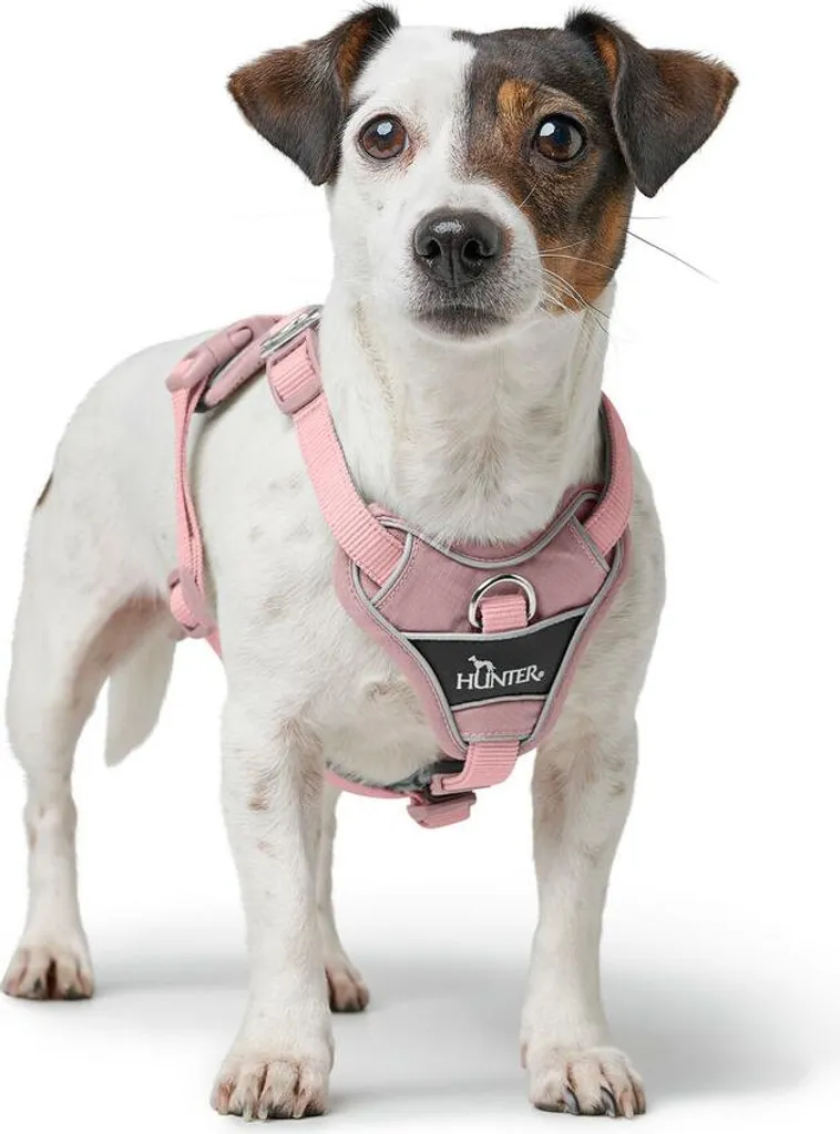 Pettorina per cani Hunter DIVO UP Rosa M - 5