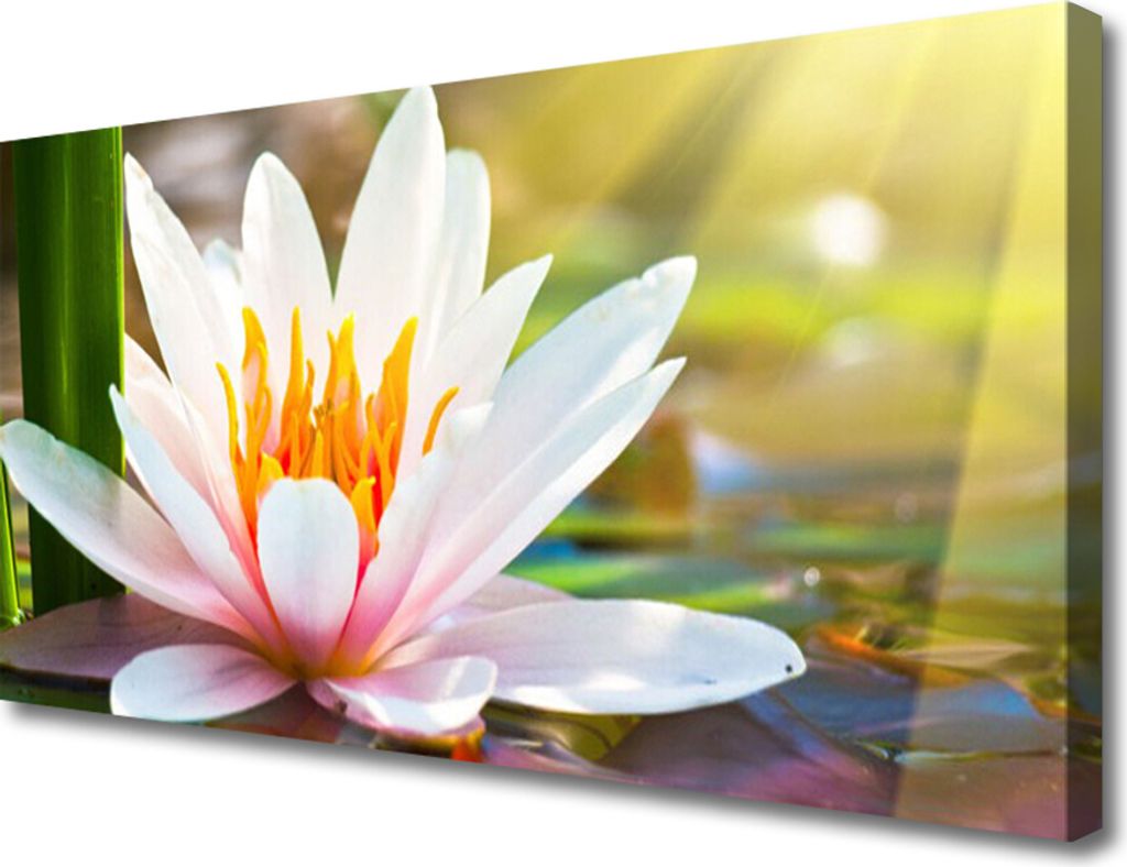 Tulup Leinwand-Bilder 100x50 Wandbild Canvas Kunstdruck Blumen Pflanzen