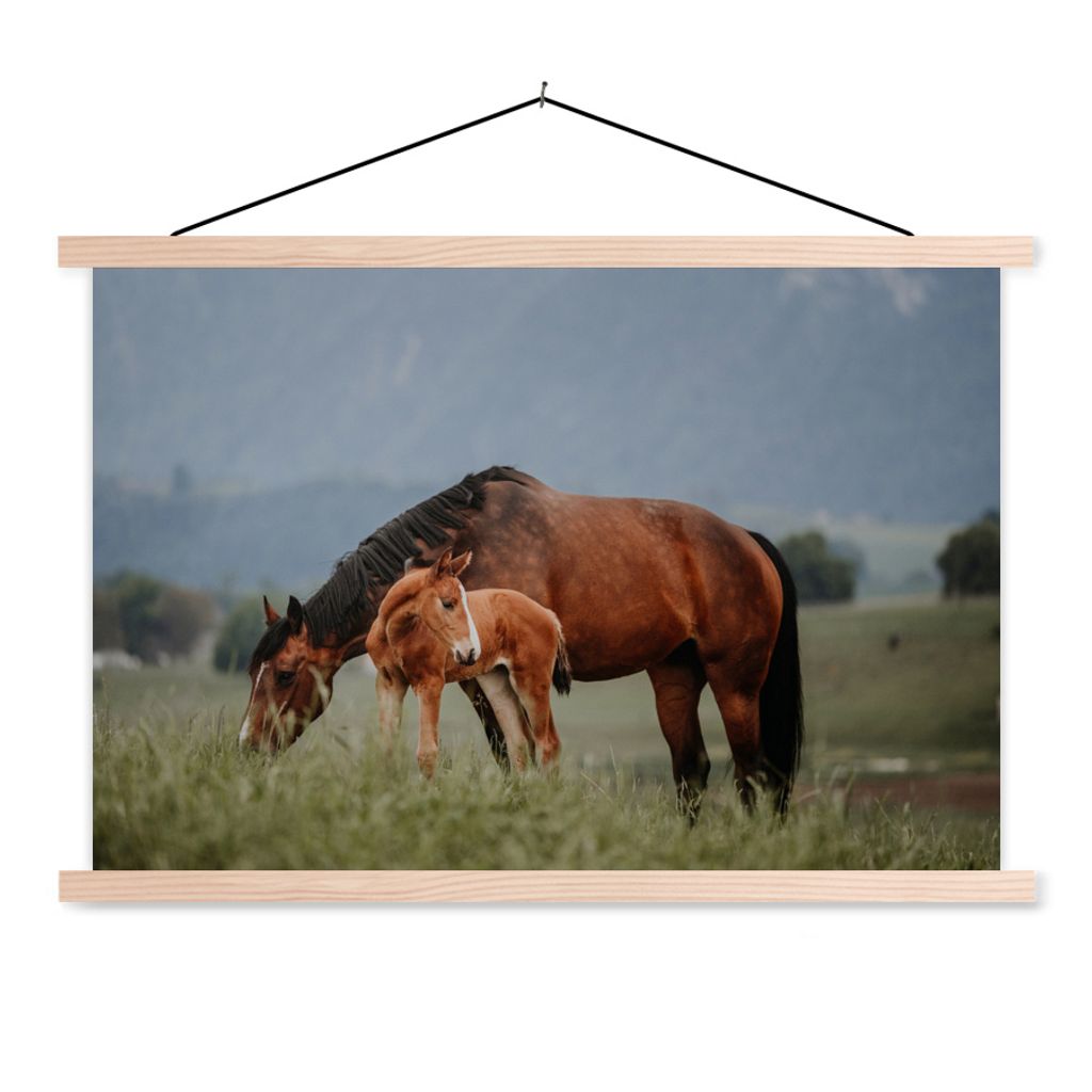 MuchoWow Textilposter Pferde - Fohlen - Natur 60x40 cm mit holzfarbenen Rahmen - Bilder