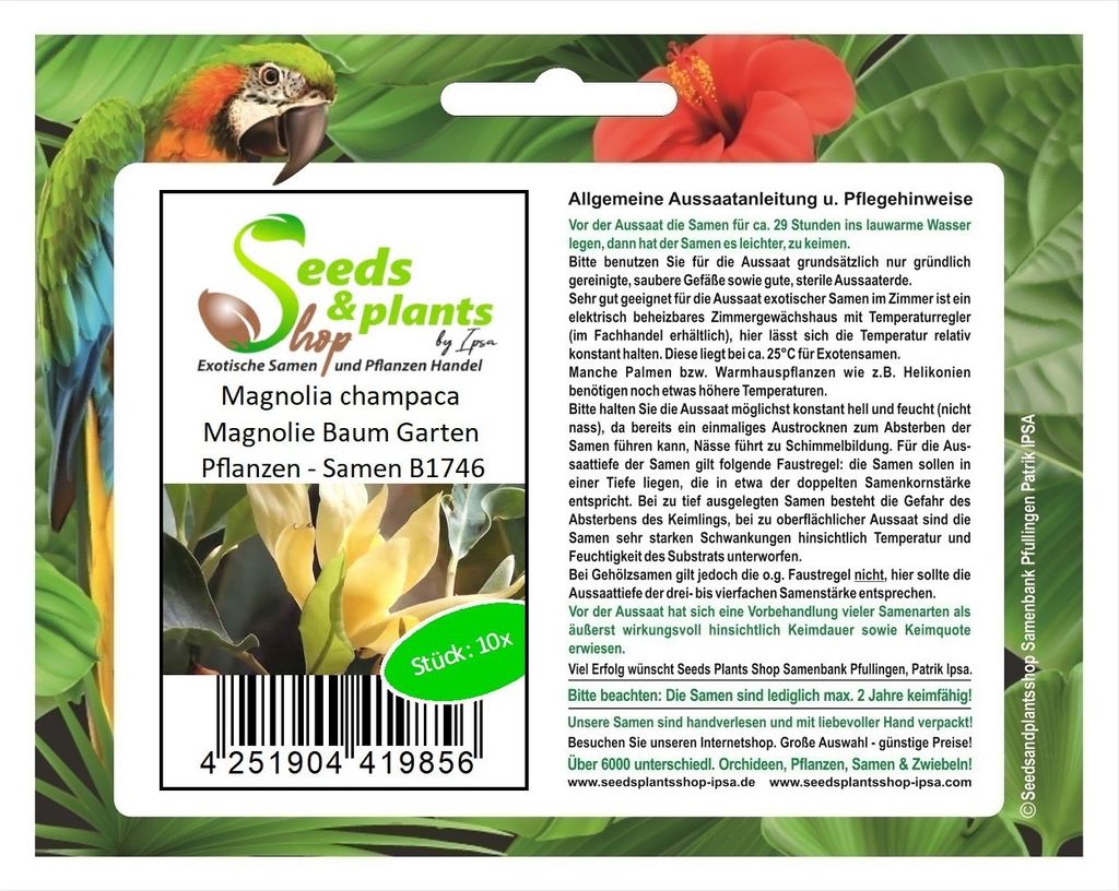 10x Magnolia champaca Magnolie Baum Garten Pflanzen - Samen B1746