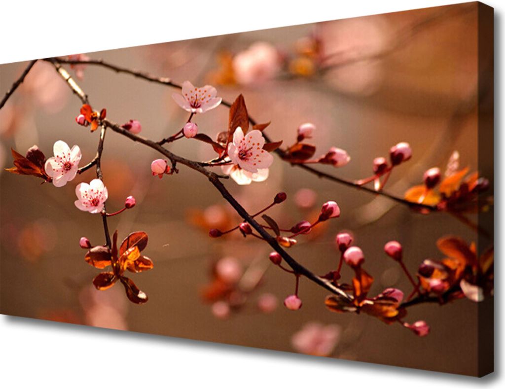 Tulup Leinwand-Bilder 100x50 Wandbild Canvas Kunstdruck Blütenzweig Natur