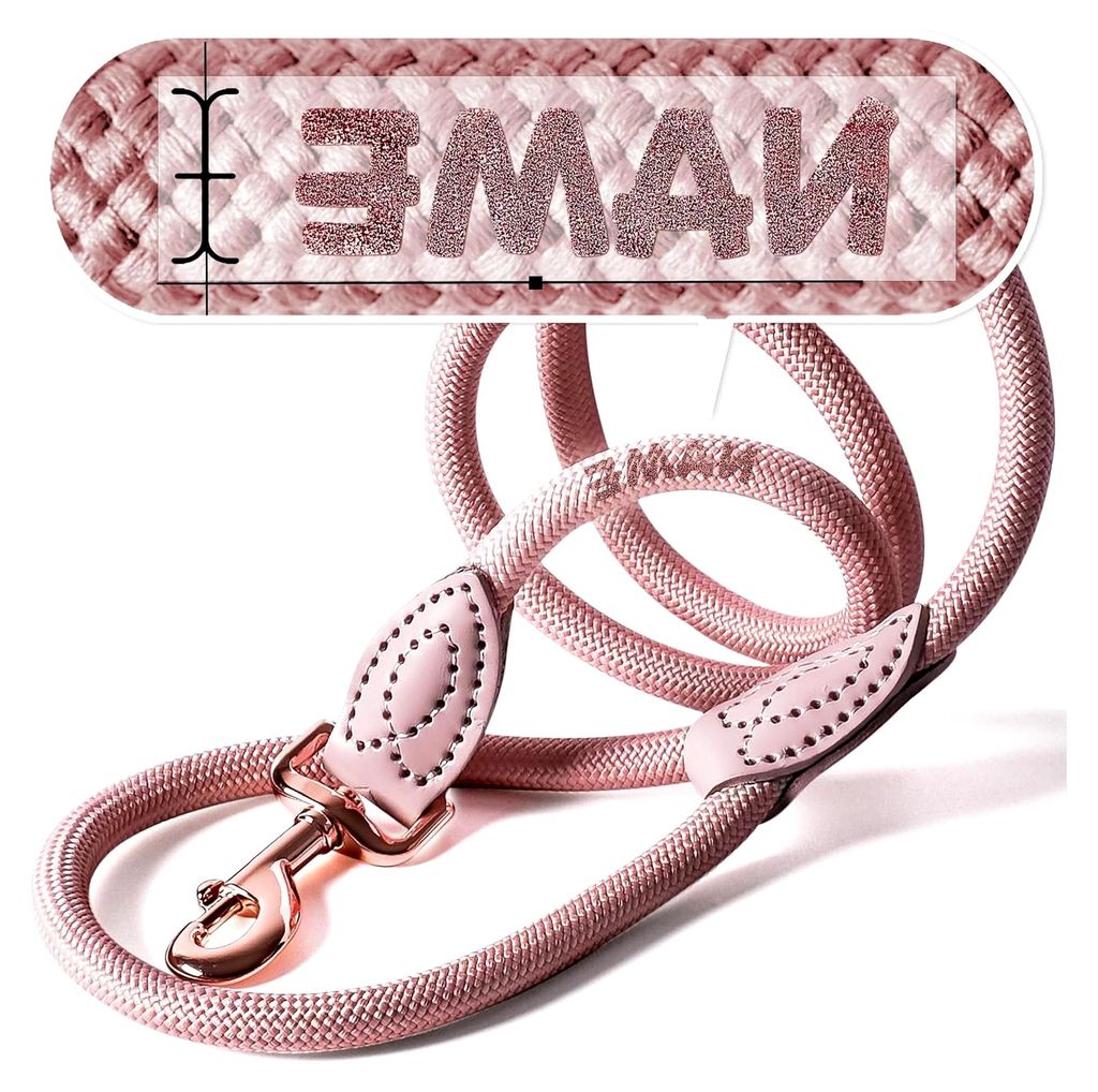 Personalisierte Hundeleine in 1,2 m oder 1,7 m Länge (leicht dehnbar) | Tauleine für Hunde | Führleine mit Namen (Mauve, 170 cm)