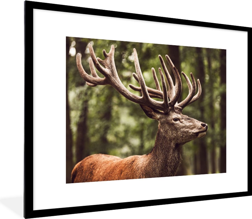 MuchoWow Gerahmtes Poster Hirsch - Natur - Geweih - Wald - Tiere 80x60 cm - Poster mit Schwarzem Bilderrahmen Wandposter Rahmen Foto Bilder - Sch...