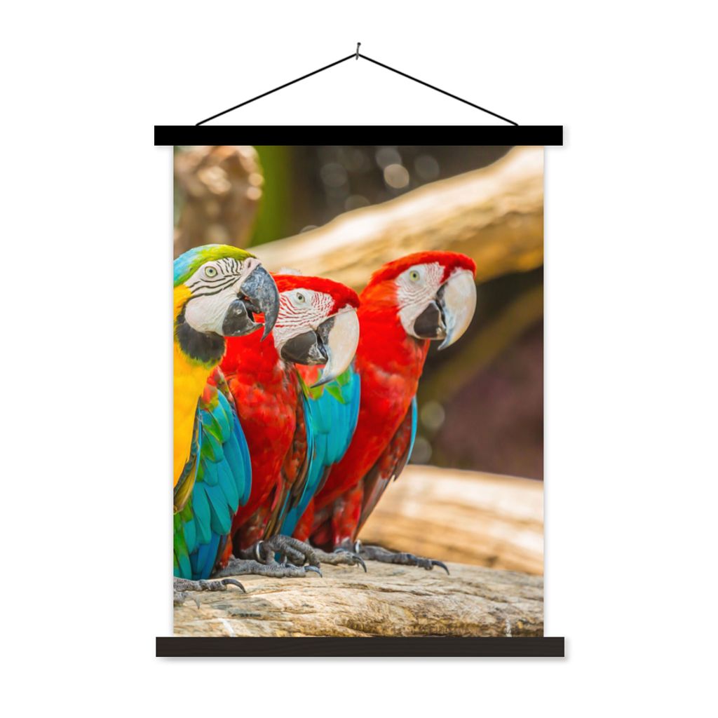 MuchoWow Textilposter Vögel - Papagei - Tropisch - Natur 90x120 cm mit schwarzem Rahmen - Dekoration