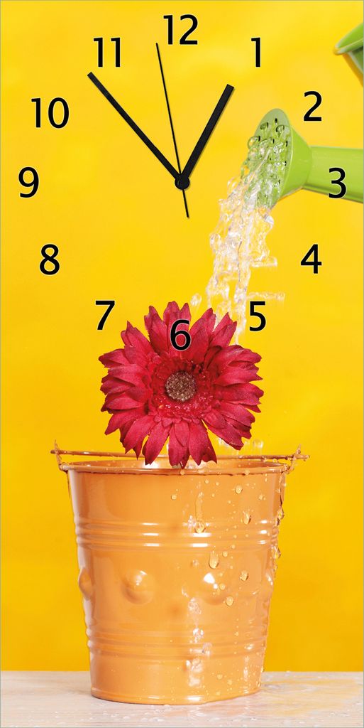 Wallario Design Wanduhr bedruckt, Größe 30 x 60 cm, Motiv: Rote Blüte im Blumentopf - frisch begossen