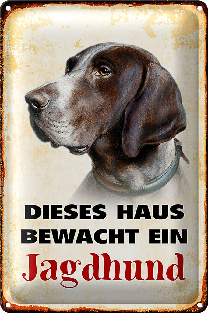 Blechschild Hund 20x30cm dieses Haus bewacht ein Jagdhund