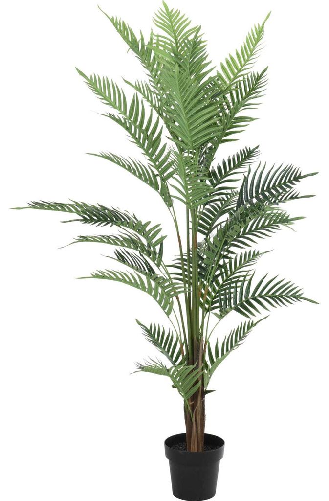 Künstliche Farnpflanze, 150 cm Produktbild 