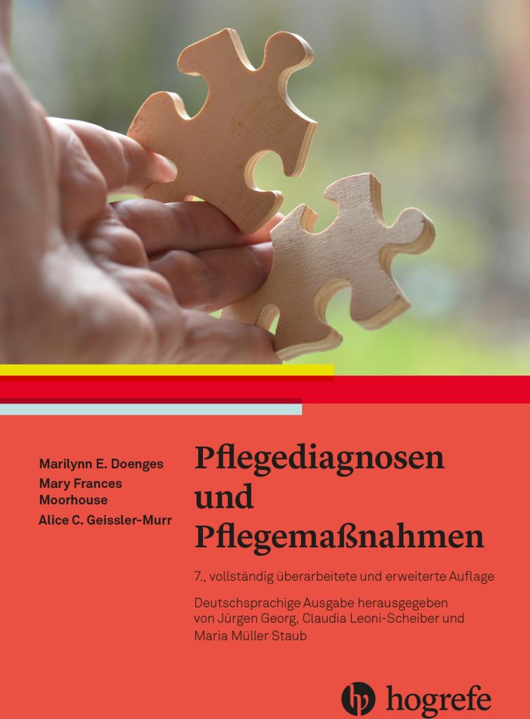 Pflegediagnosen und Pflegemaßnahmen Produktbild 