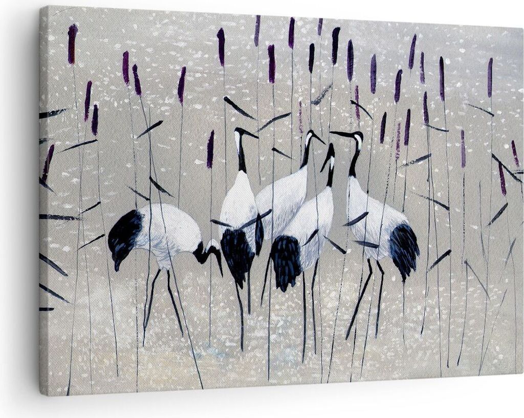 Bild auf Leinwand - Leinwandbild - Vogel Natur Wasser - 70x50cm - Wand Bild - Wanddeko - Wandbilder - Leinwanddruck - Bilder - Kunstdruck - Wanddek...