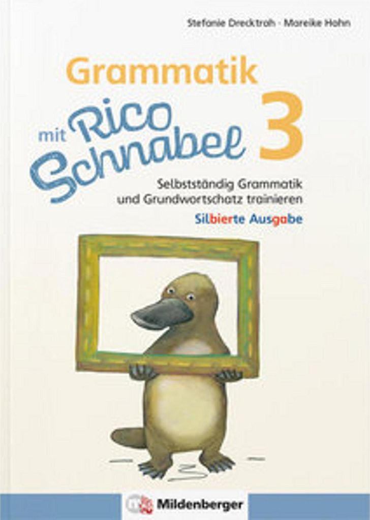 Grammatik mit Rico Schnabel, Klasse 3 - silbierte Ausgabe Obrázok produktu 