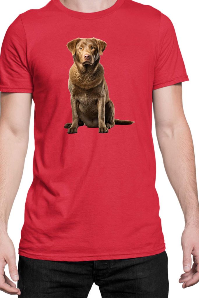Herren T-Shirt Dogs Breeds Chesapeake Bay Retriever Dog Breed 007, Man L / Rot