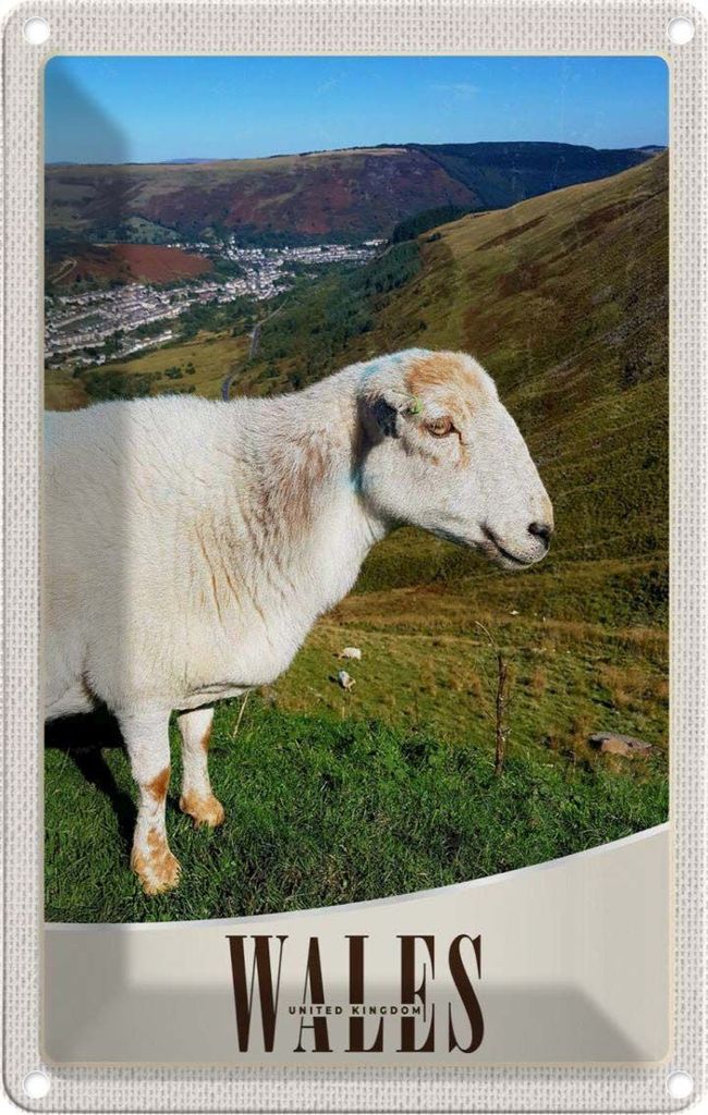 vianmo Blechschild 18x12 cm Wales United Kingdom Schaf Wiese Bildmotiv Reisemotiv Abenteuer Reisen Urlaub