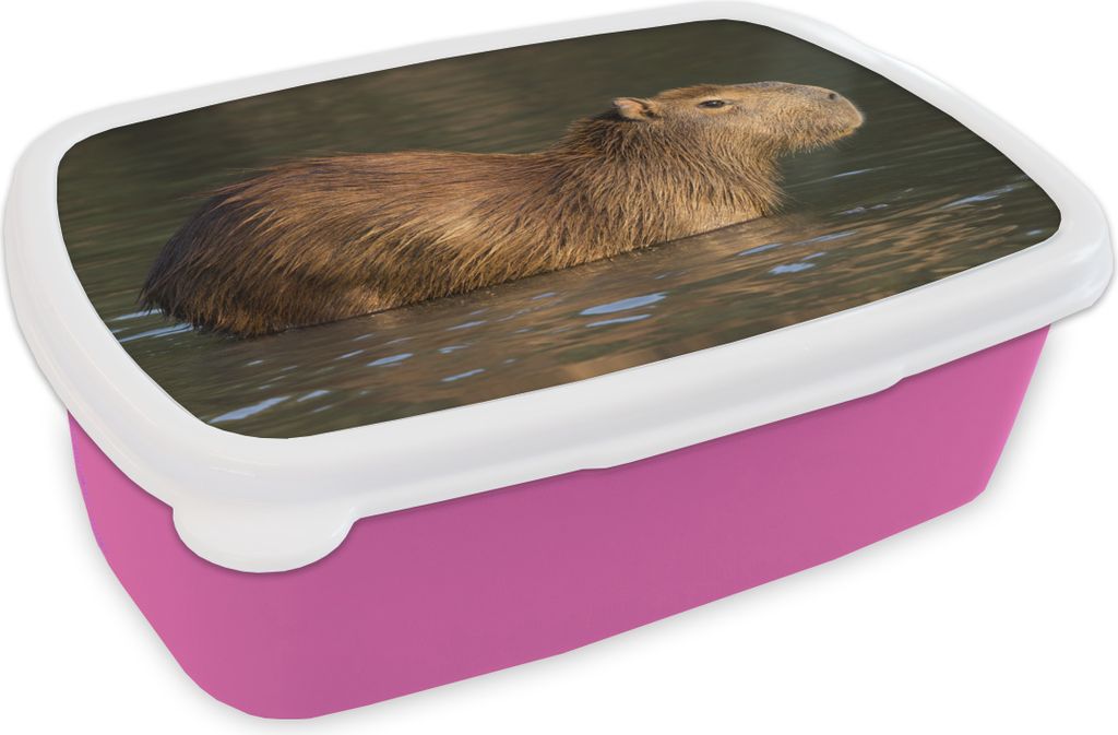 KitchenYeah Lunchbox Brotzeit Brotdose 17x11 cm Ein Capybara steht im Wasser Kinder Brotzeitdose - Lunchpaket - Brotkasten - Sandwich Box