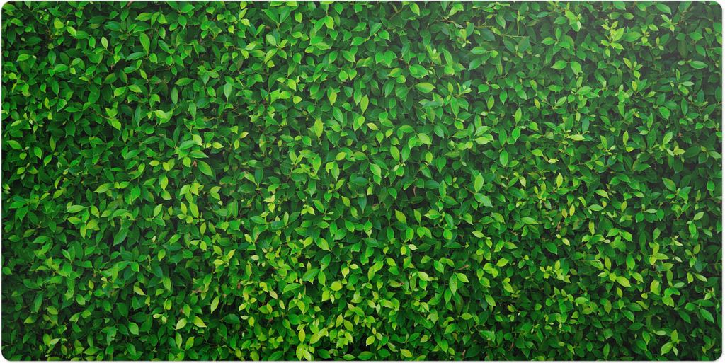 Blattwand Der Natur– Schreibtischunterlage – Schreibtisch Tischunterlage – 90x45 cm – Unterlage Groß Schreibtischmatte