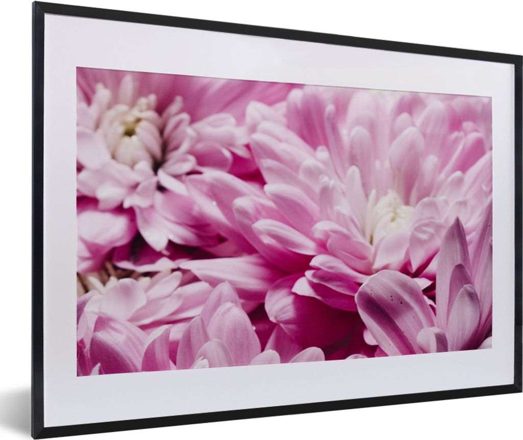 MuchoWow Gerahmtes Poster Blumen - Rosa - Natur 60x40 cm - Poster mit Schwarzem Bilderrahmen Wandposter Rahmen Foto Bilder - Schlafzimmer - Plaka...