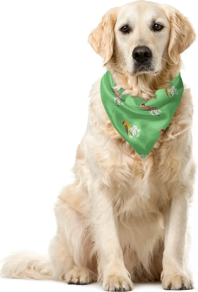 Bandana Protettiva Pet 40x40 ABAKUHAUS - Lavabile e Resistente