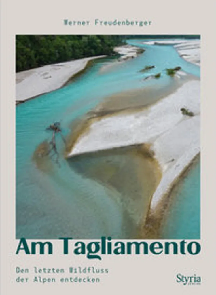 Am Tagliamento Mitigeur Cuisine Ergonomique pour Usage Intensif Pro
