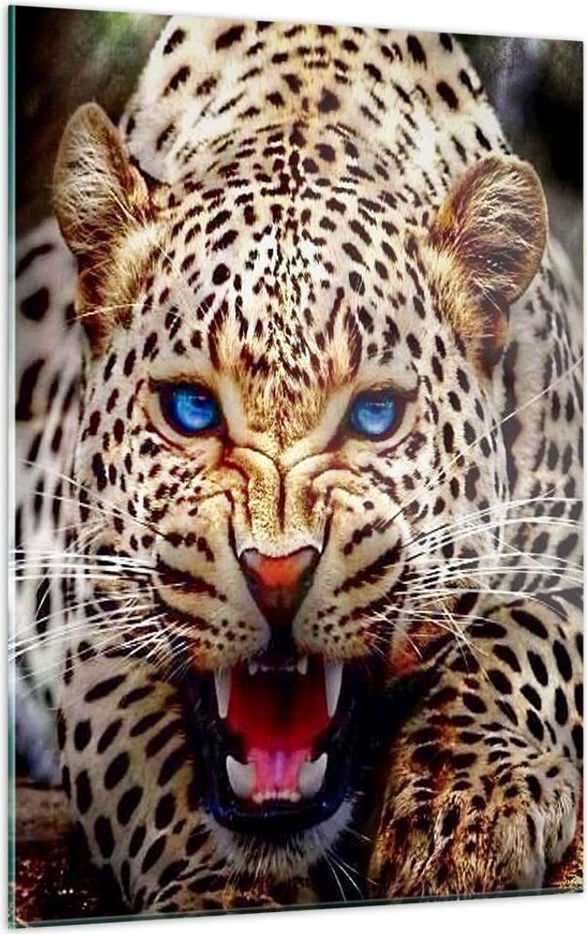 Bilder auf glas - Einteilig - Panther Tier - 50x70cm - Glasbilder - Wandbilder - Bilder - Kunstdruck - zum Aufhängen bereit - Wanddekoration aus G...