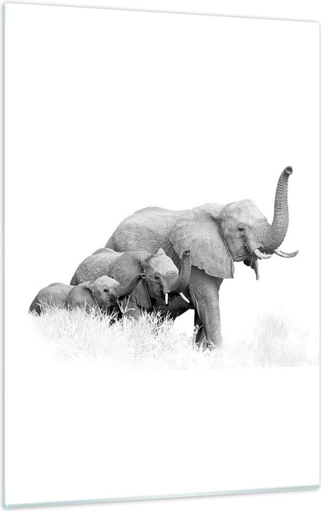 Bilder auf glas - Einteilig - Elefanten Familie Schwarz und Weiß - 50x70cm - Glasbilder - Wandbilder - Bilder - Wanddekoration aus Glas - Glas Bil...