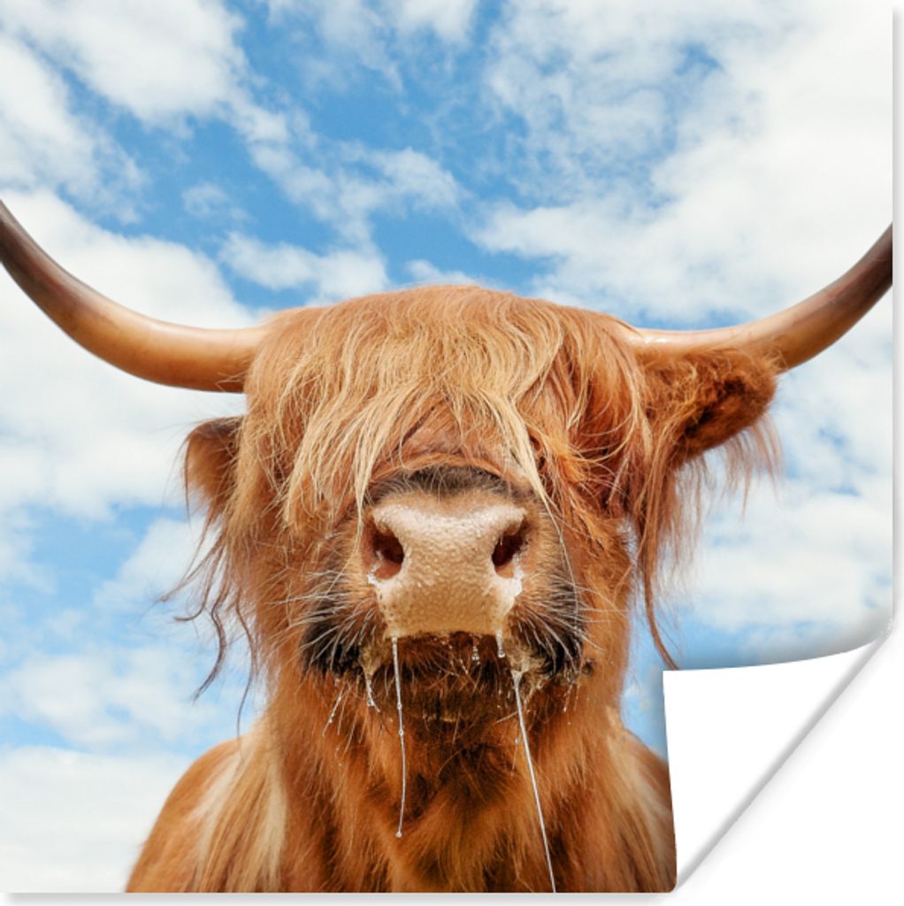 MuchoWow Poster Schottischer Highlander - Wolke - Tiere 50x50 cm - Wohnzimmerdekoration