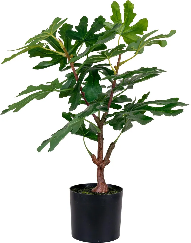 Décoration intérieure : Figuier artificiel Figentræ 60 cm sans entretien