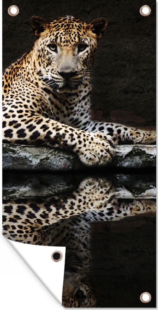 MuchoWow 80x160 cm Outdoor-Poster Gartendeko Sichtschutz Garten Poster für den Garten Leopard - Wasser - Wald