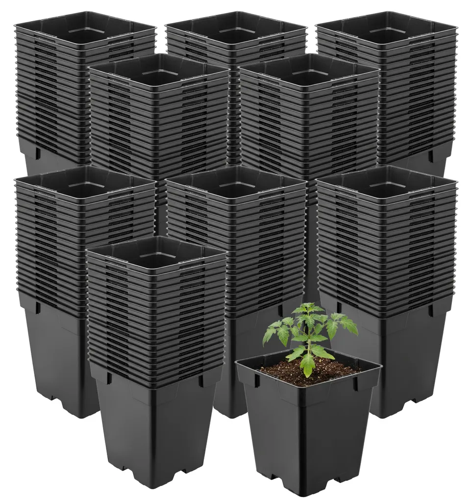 Évitez la Pourriture des Racines avec ces 200 Pots Drainants de 11cm