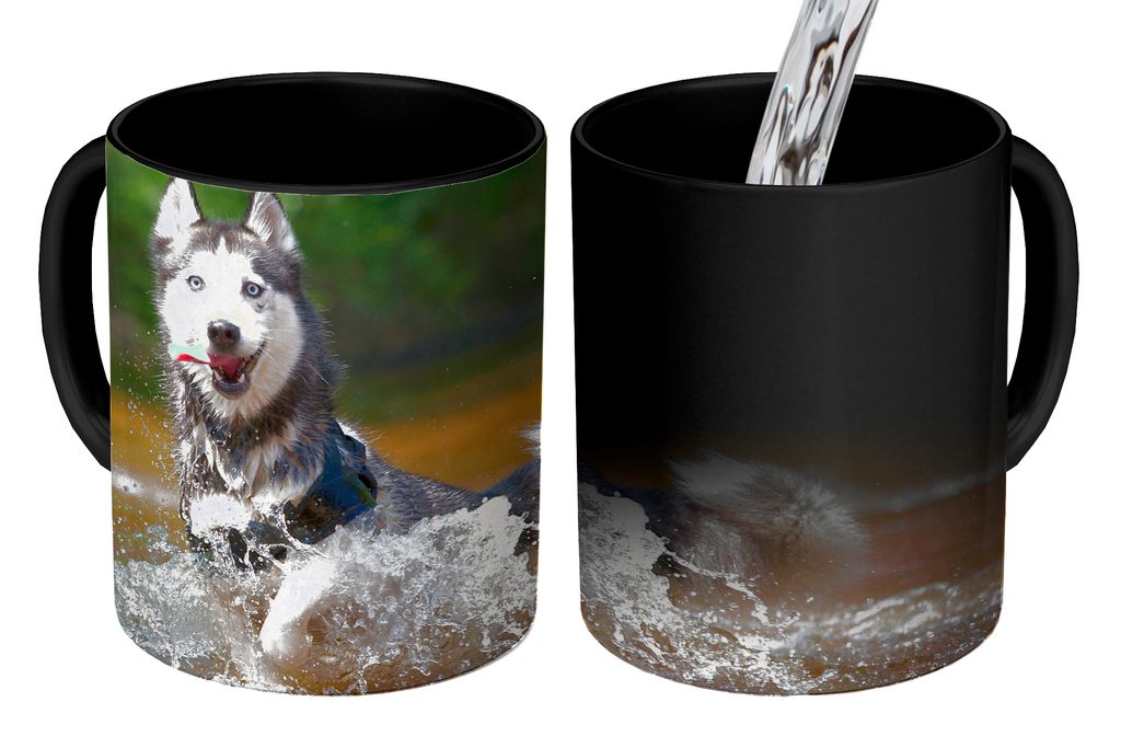 KitchenYeah Zauber Tasse Zaubertasse Magic Husky im Wasser 350 ml Farbwechsel Becher Geschenk Geschenkidee - Magic-Tasse - Fototasse - Keramiktas...