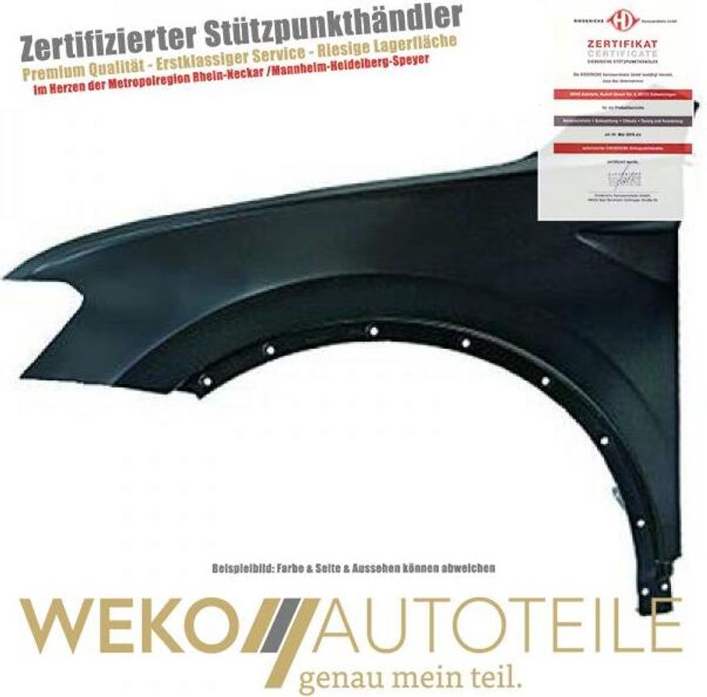 Kotflügel links DIEDERICHS 2256007 für VW