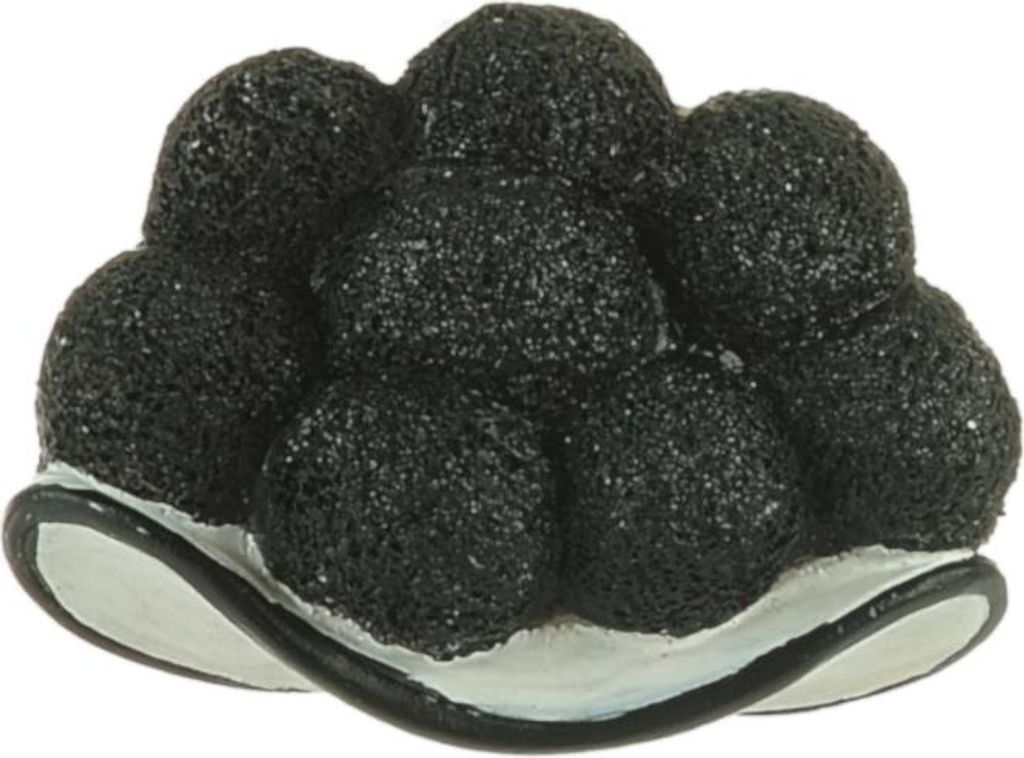 Bollenhut Magnet Schwarz 7x2x5cm