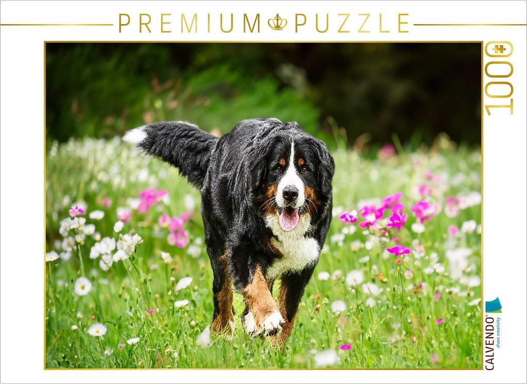 CALVENDO Puzzle Blütenzauber | 1000 Teile Lege-Größe 64x48cm Foto-Puzzle für glückliche Stunden