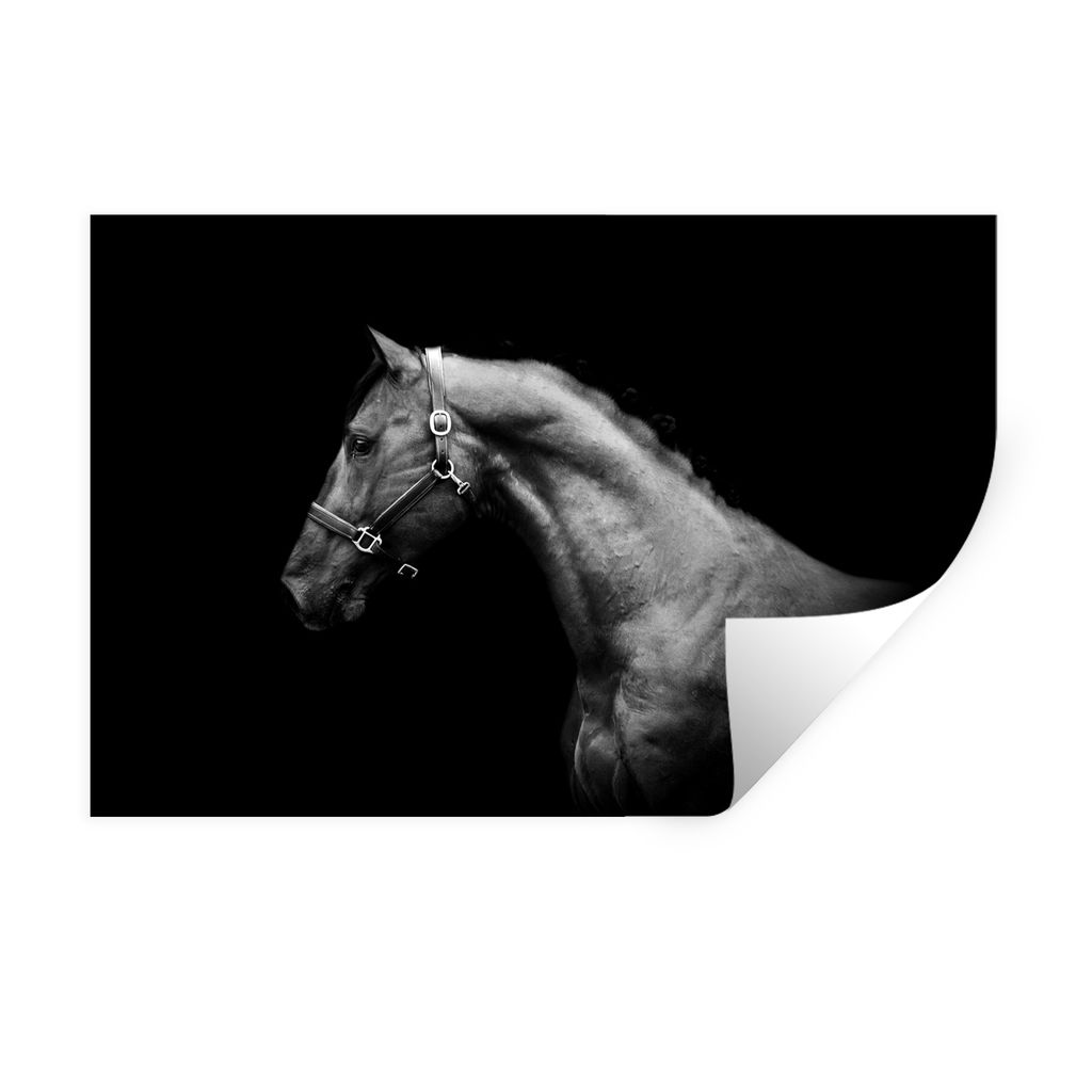 MuchoWow Wandtattoo Wandsticker Wandaufkleber Pferd - Leicht - Halfter 90x60 cm Selbstklebend und Repositionierbar - Aufkleber