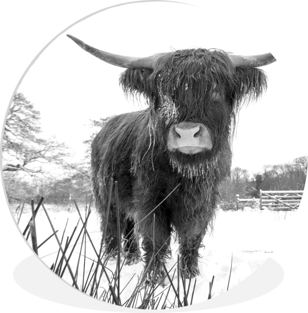 MuchoWow - Schlafzimmer - Bilder - Der Kreis - Kunst für die Wohnung - Plastik - Kunstdruck - Wandbild