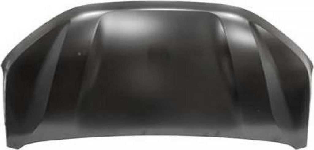 DIEDERICHS 4457100 Motorhaube, Frontklappe für DACIA SANDERO III 2021-