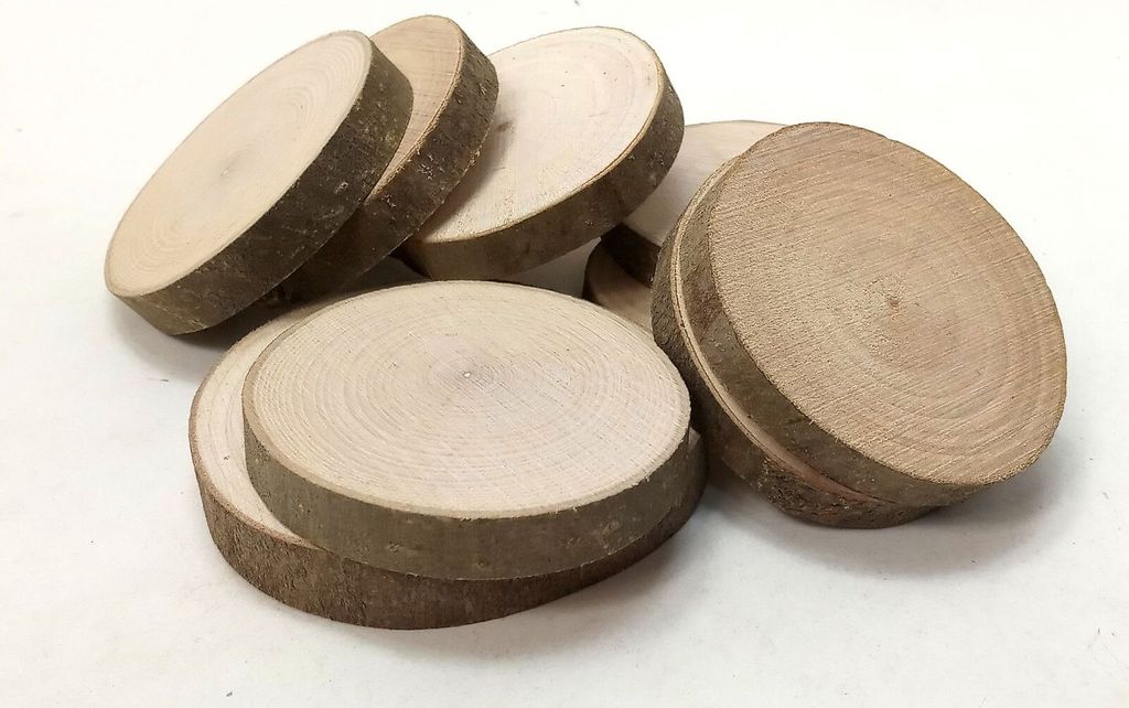 10 Baumscheiben Ahorn Holzscheiben Astscheiben Bastelholz Produktbild 