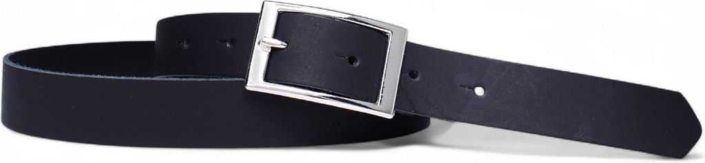 FRONHOFER günstiger Damengürtel 2,5 cm, silberne Schnalle, echt Leder