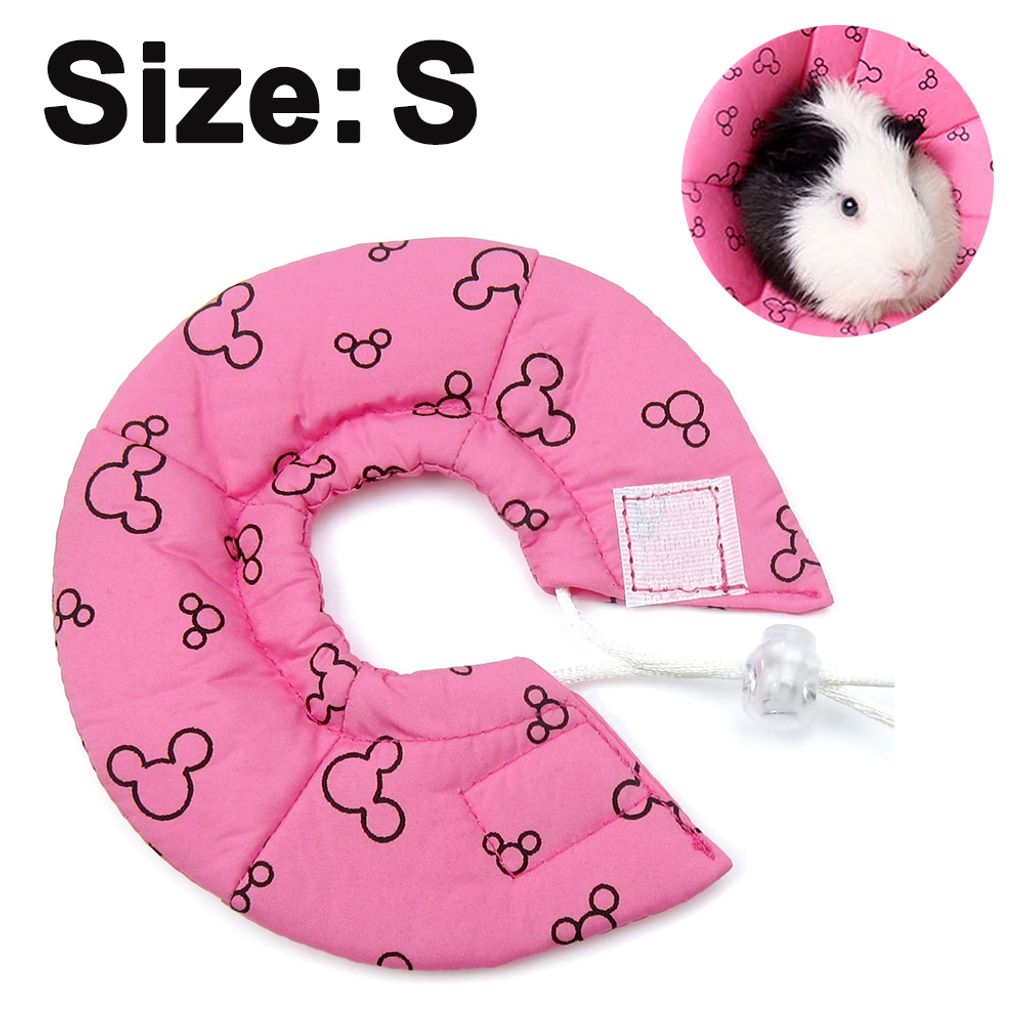 Glitzer-Halsband Für Katzen & Kleine Hunde – Verstellbar & Super Süß
