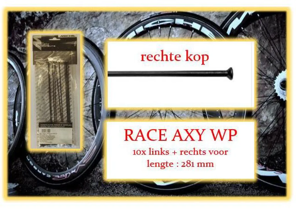 Pack 10 Rayons Miche Race Axy WP - Réparation fiable pour roue de vélo