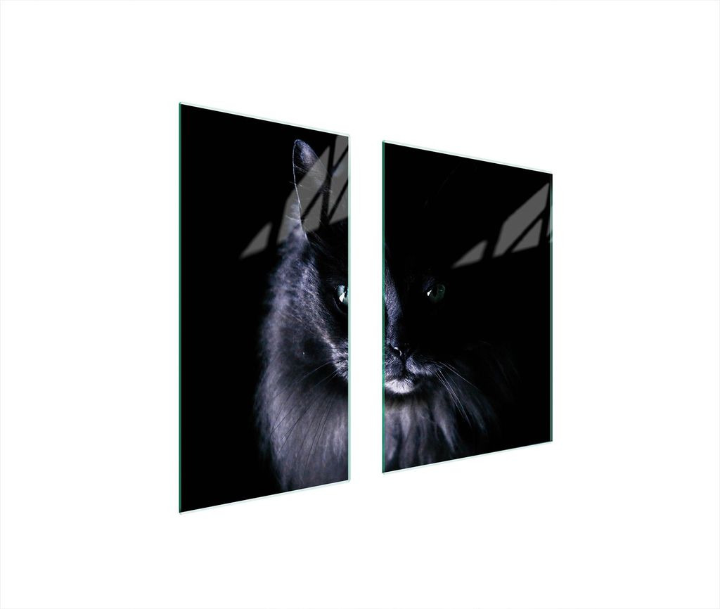 Glasschutzplatte Board 75X52 Cat