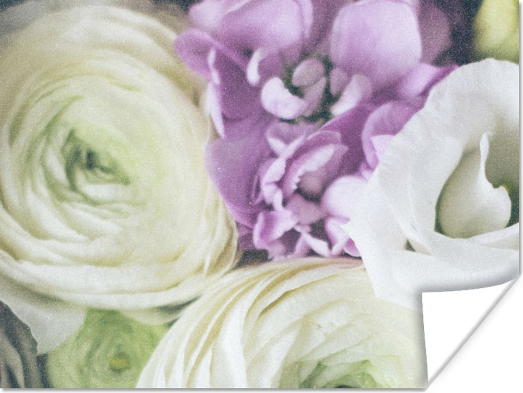 MuchoWow Poster Blumen - Rosen - Natur 160x120 cm - Foto Plakat