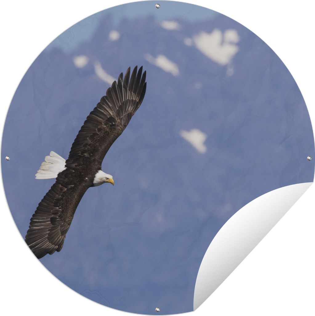 MuchoWow Gartenposter Outdoor-Poster Rund Amerikanischer Seeadler - Adler - Fliegen - Flügel - Vögel Ø 90 cm Gartendeko Rundes Poster draußen
