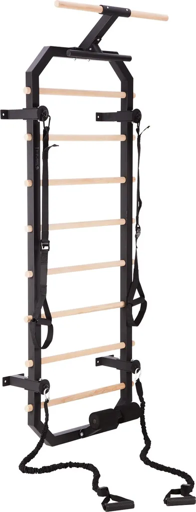 Mur d'escalade de Gymnastique Espalier Suédois avec Élastiques Fitness