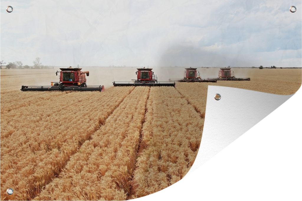 MuchoWow 120x80 cm Outdoor-Poster Gartendeko Sichtschutz Garten Poster für den Garten Landmaschinen ernten den Weizen