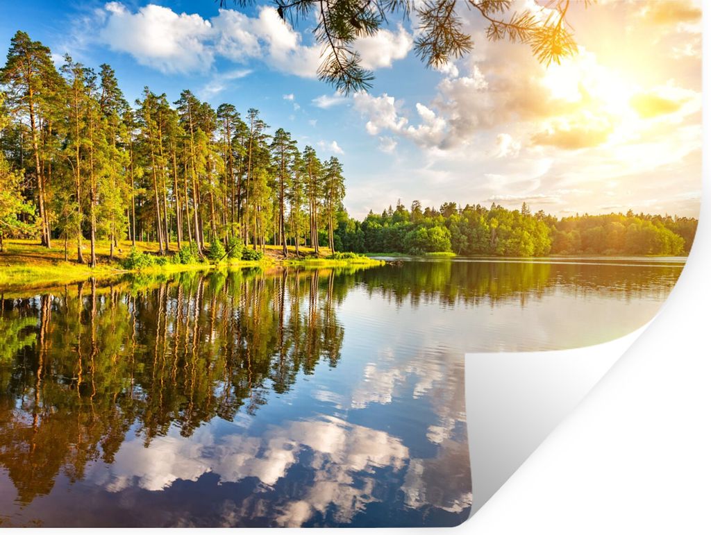 MuchoWow Wandtattoo Wandsticker Wandaufkleber Bäume - Wasser - Sonne 160x120 cm Selbstklebend und Repositionierbar - Selbstklebend - Fototapeten