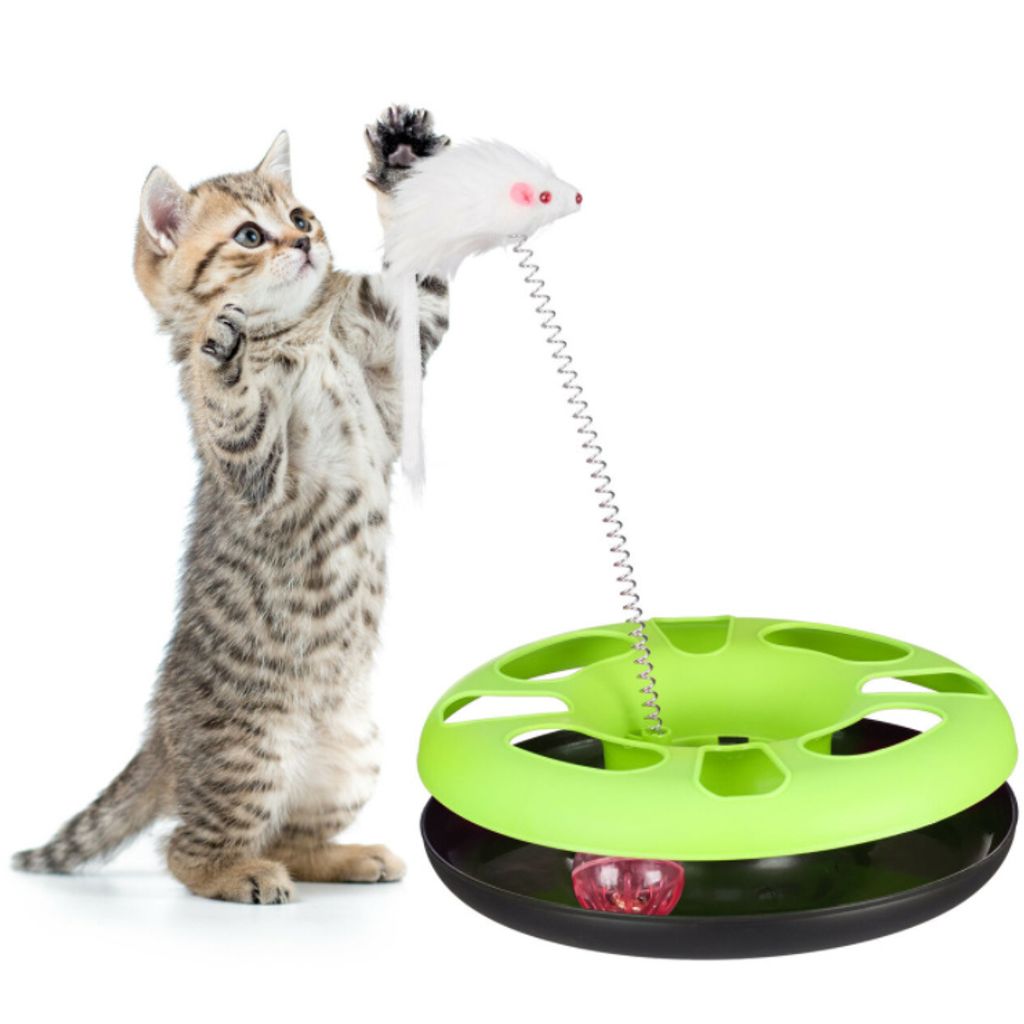 Intelligenz Garten & Heimwerken Tierbedarf Katzenzubehör Katzenspielzeuge und Beschäftigungsspielzeug für 