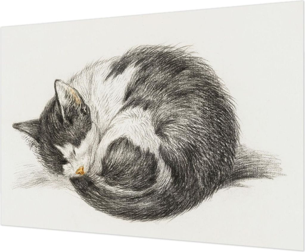 Wandtapete - Dekorative Tapete für Wohnzimmer - Tapetenfolie für Wanddekoration - 312x219 cm - entzückende Katze