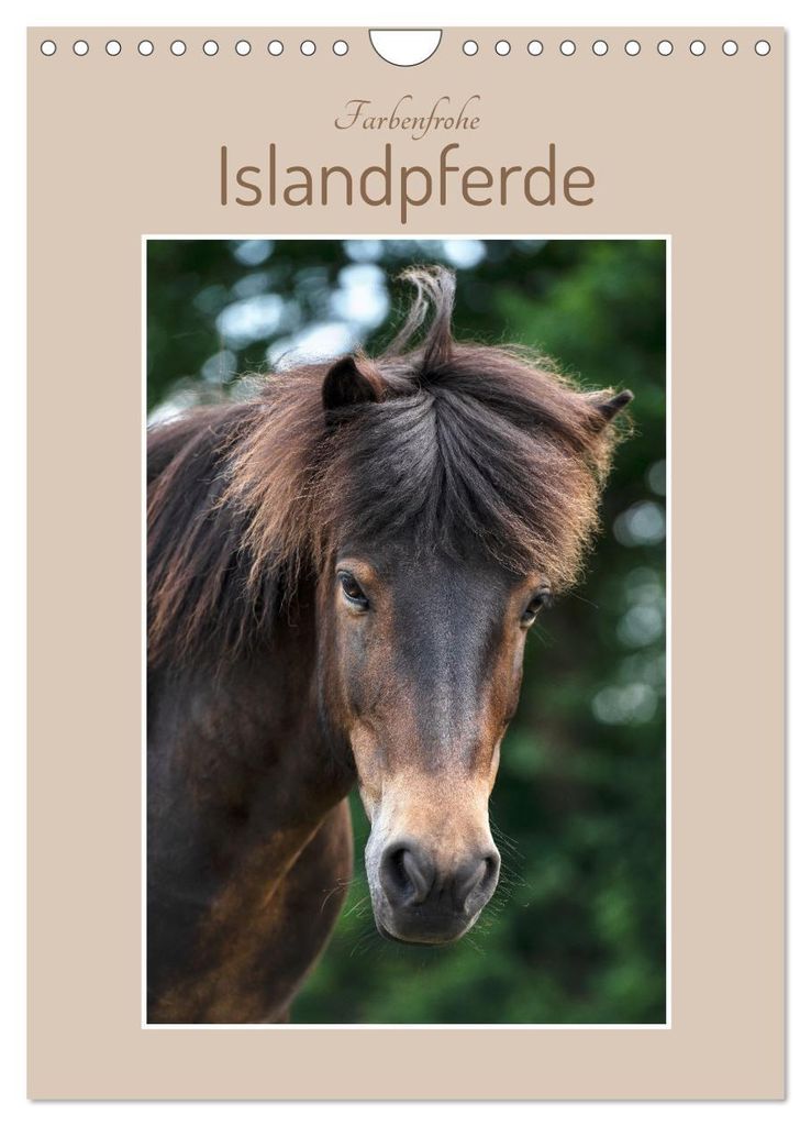 Farbenfrohe Islandpferde (Wandkalender 2027 DIN A4 hoch), CALVENDO Monatskalender