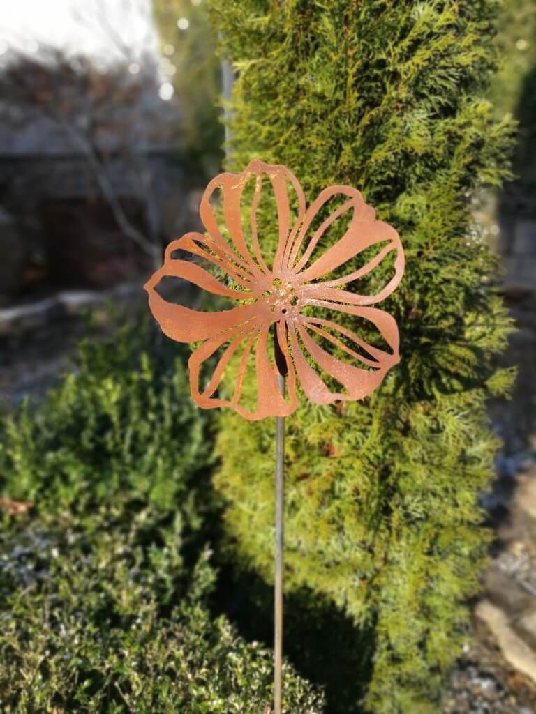 Edelrost Blume Cosmea (Schmuckkörbchen) Edelrost Cosmea - 30 cm