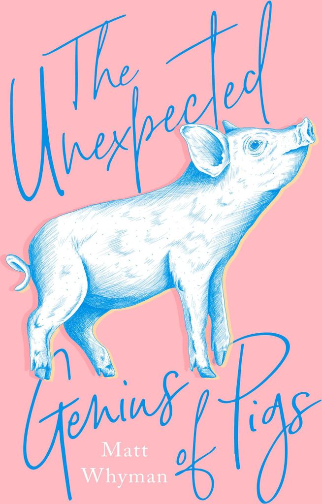 The Unexpected Genius of Pigs